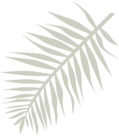 Palmera 2