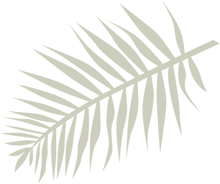 Palmera 3
