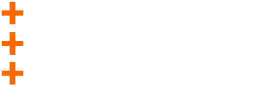 Frescura y Sabor en cada bocado