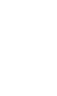 Flores Mangozarza Yog