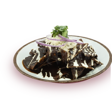 Chilaquilazo Mole