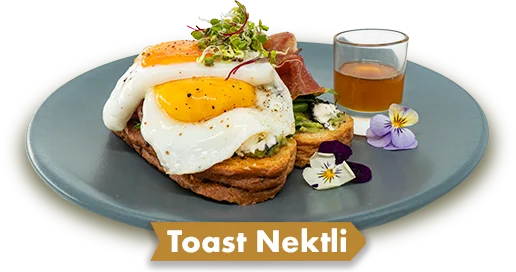 Toast Nektli