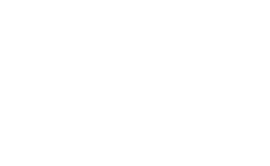 Fiesta de sabor y tradición